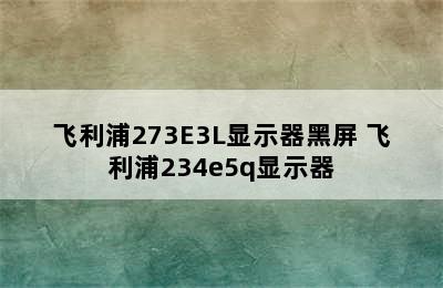 飞利浦273E3L显示器黑屏 飞利浦234e5q显示器